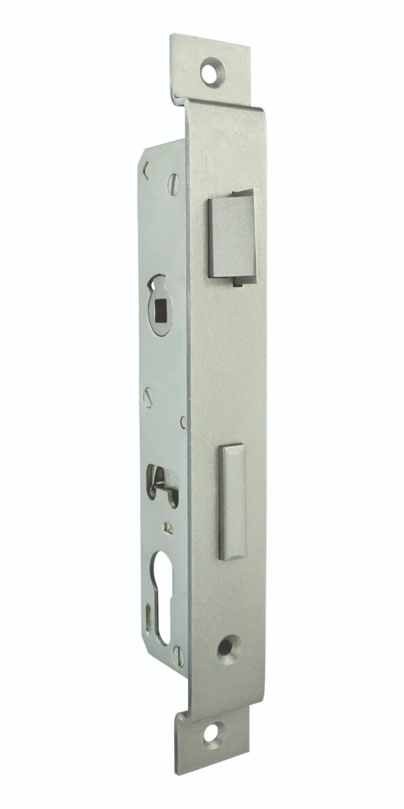 RR-725-PZW-30-92-8-KT-30-242,5-51-SI-DIN-R-Z-Z-1 – Artikel 725R